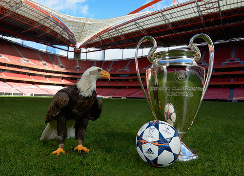 被诅咒？小瓦格纳&班凯罗&萨格斯挨着伤 近两赛季仅一起出战17场（小瓦格纳、班凯罗、萨格斯轮番伤停，近两季合体仅17场）